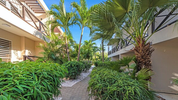 A pathway flanked by lush greenery and palm trees, leading to a building with balconies.