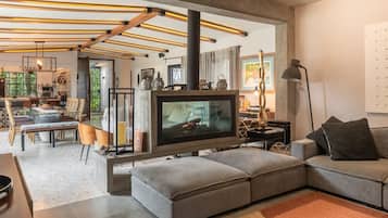 TV, fireplace, table tennis