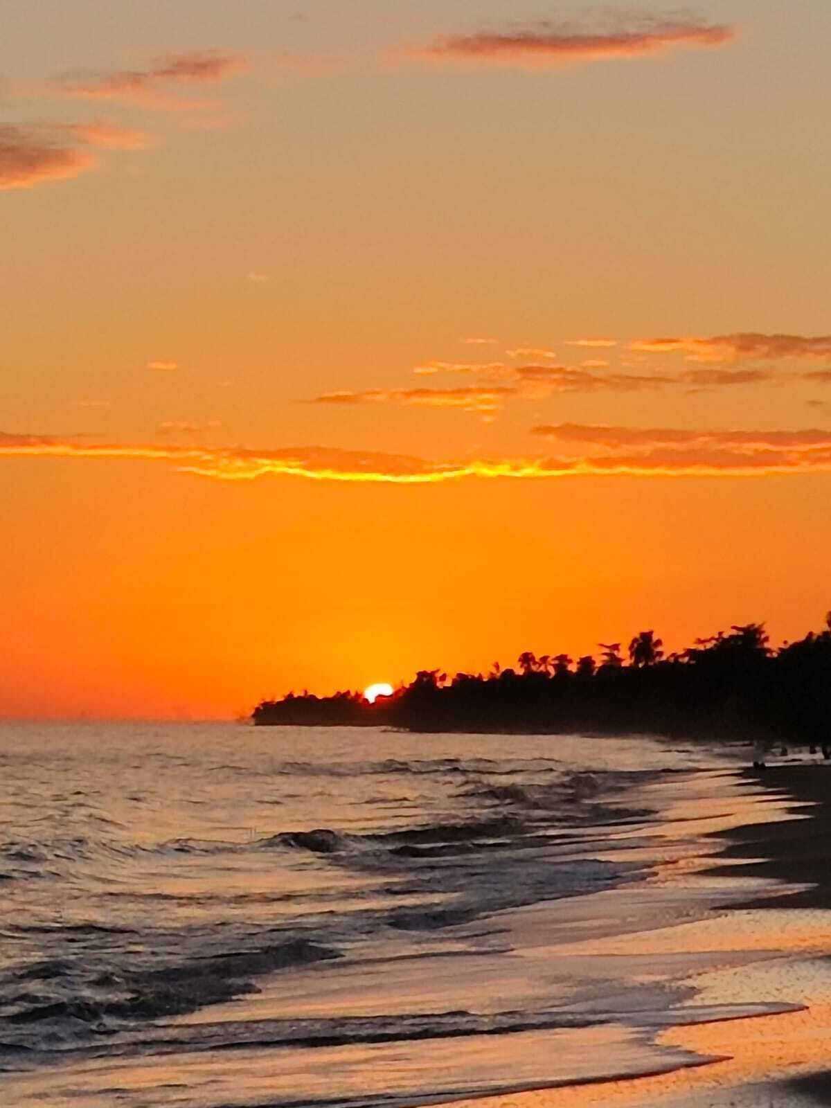 Tumbonas y toallas de playa