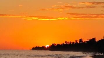 Tumbonas y toallas de playa