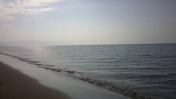 Tumbonas y toallas de playa