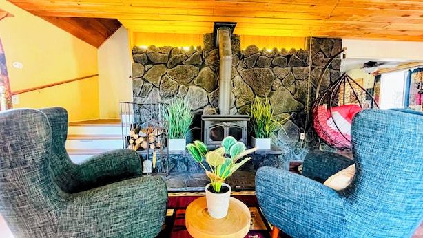 A cozy living room with a stone fireplace, two armchairs, a coffee table with a plant, and a hanging chair. - Charming 3-bedroom cabin in with AC, spa, game room, firepit & EV charger  (Old Station)