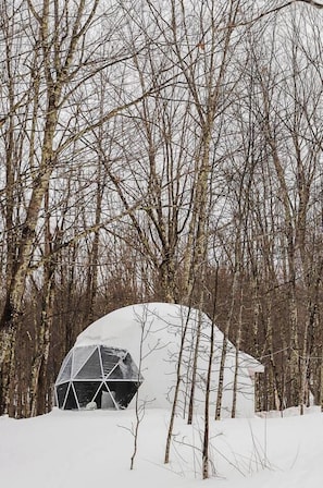 Exterior - Glamping Dome #3 in Snowshoe WV (Snowshoe)