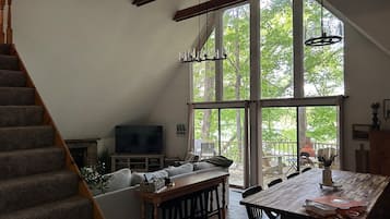 Smart TV, fireplace, books