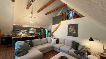 Smart TV, fireplace, books