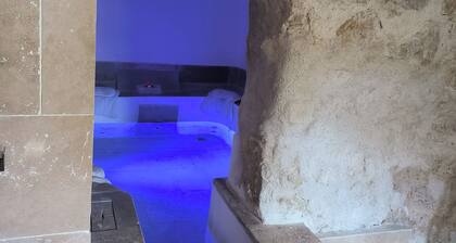 Love room with indoor Jacuzzi and private pool in the middle of the woods