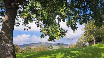 Ulkoalueet