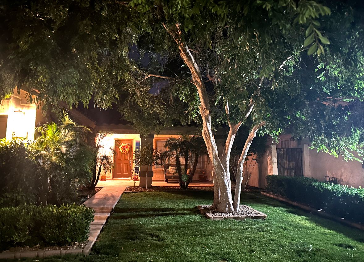 A well-lit residential property at night with a lawn, a tree, and a house entrance.