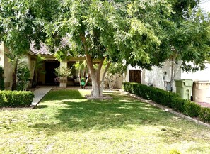 A courtyard with a building entrance, a pathway, and a tree providing shade.