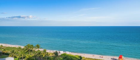 A beach view with a lifeguard tower, palm trees, and a clear sky.