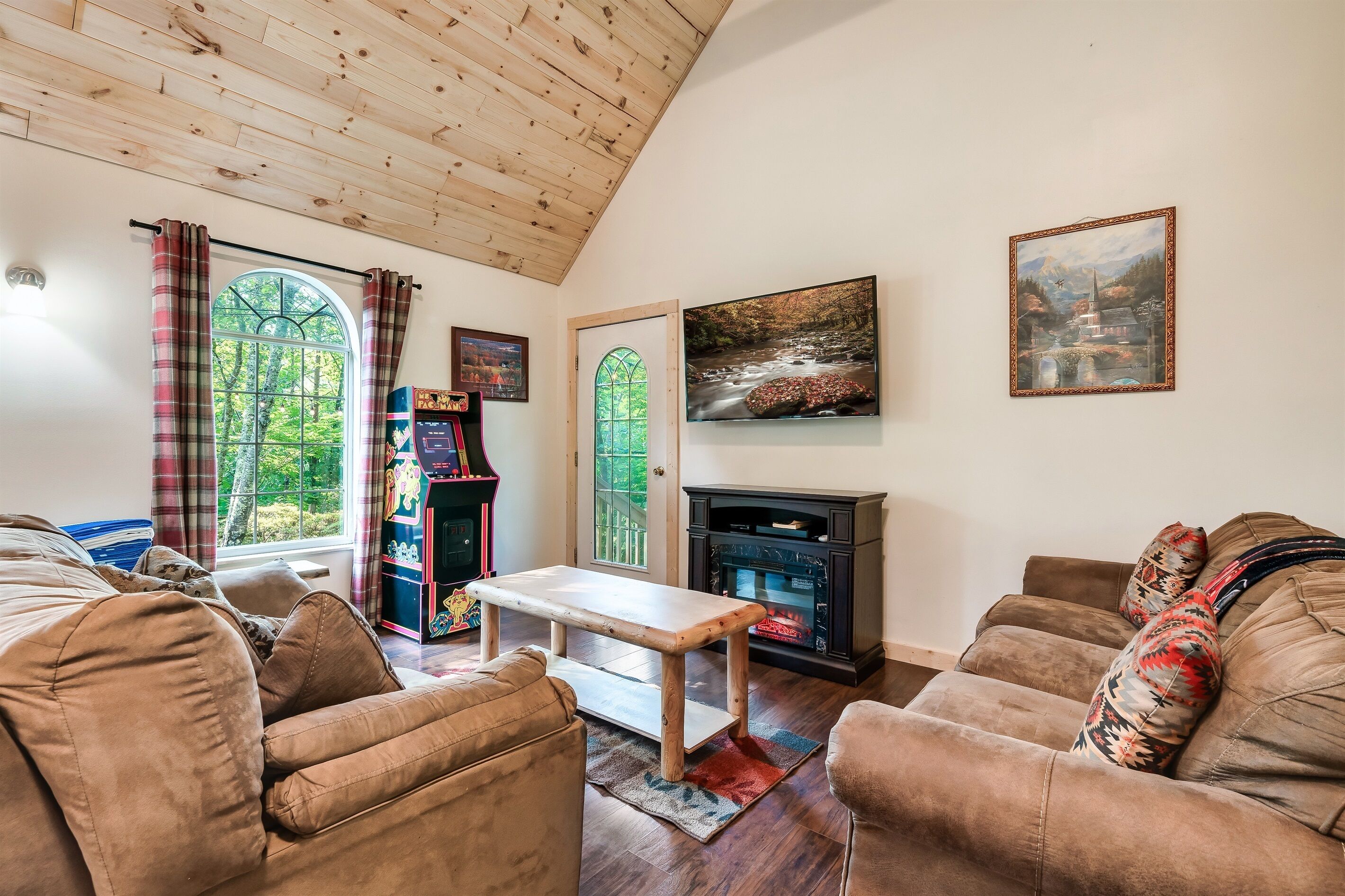 Smart TV, fireplace, books