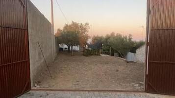 Una puerta abierta que da a un patio con suelo de adoquines, rodeado por un muro bajo y vegetación.