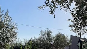 Un ponte di legno che scavalca un sentiero sterrato, con una fioriera bianca sulla destra.