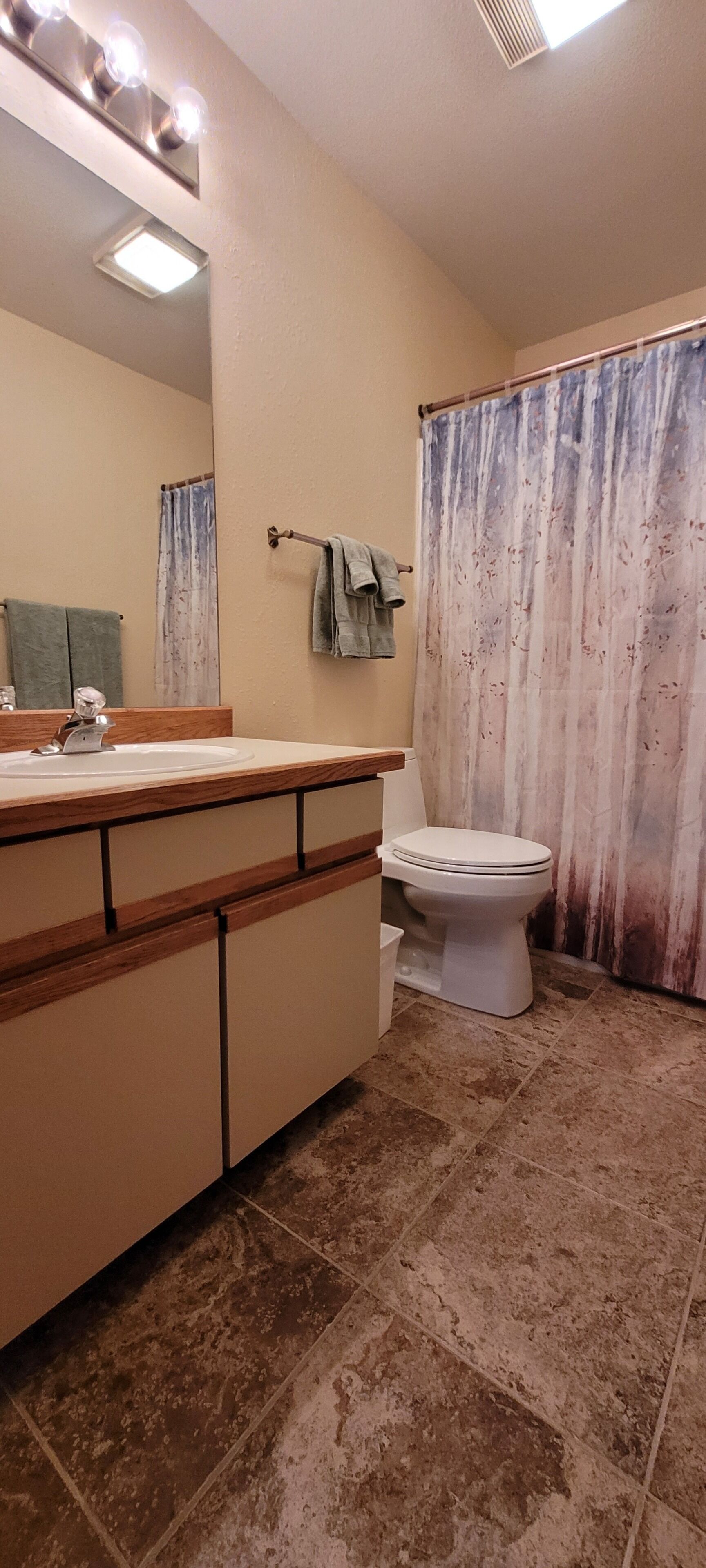 A bathroom with a sink, mirror, toilet, and shower curtain.