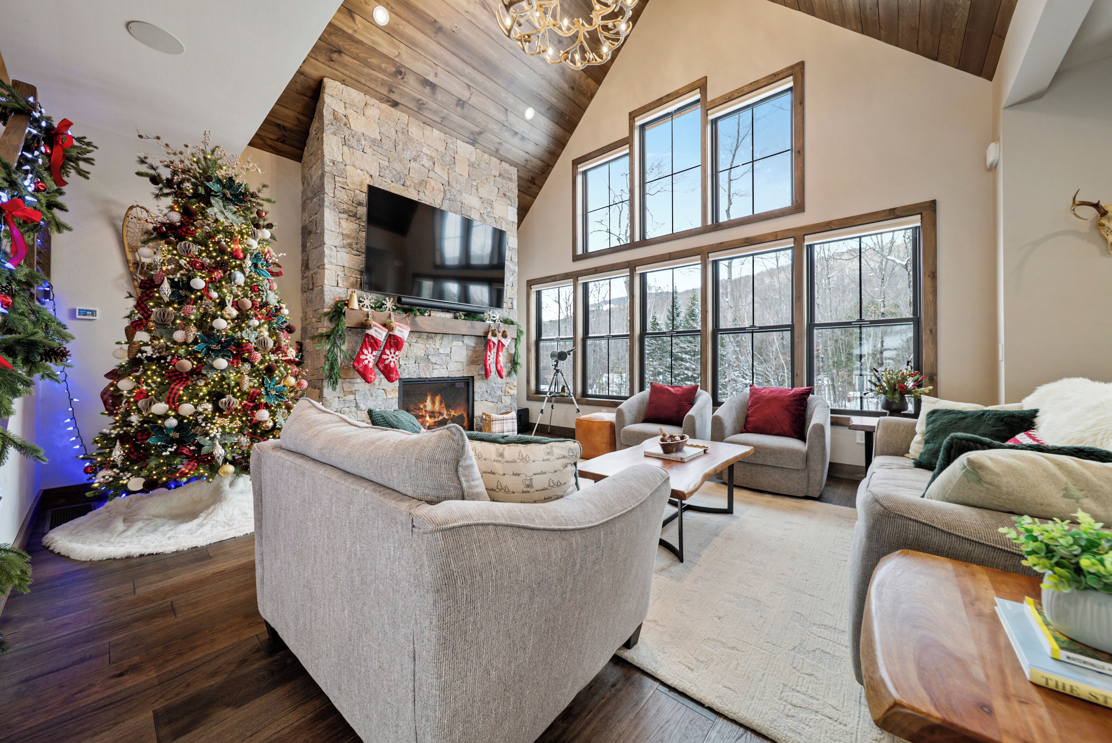 Smart TV, fireplace, video games, books