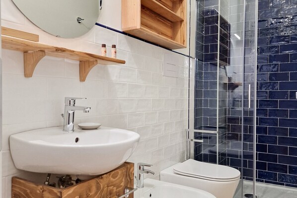 Shower, hair dryer, bidet, towels