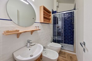 Shower, hair dryer, bidet, towels