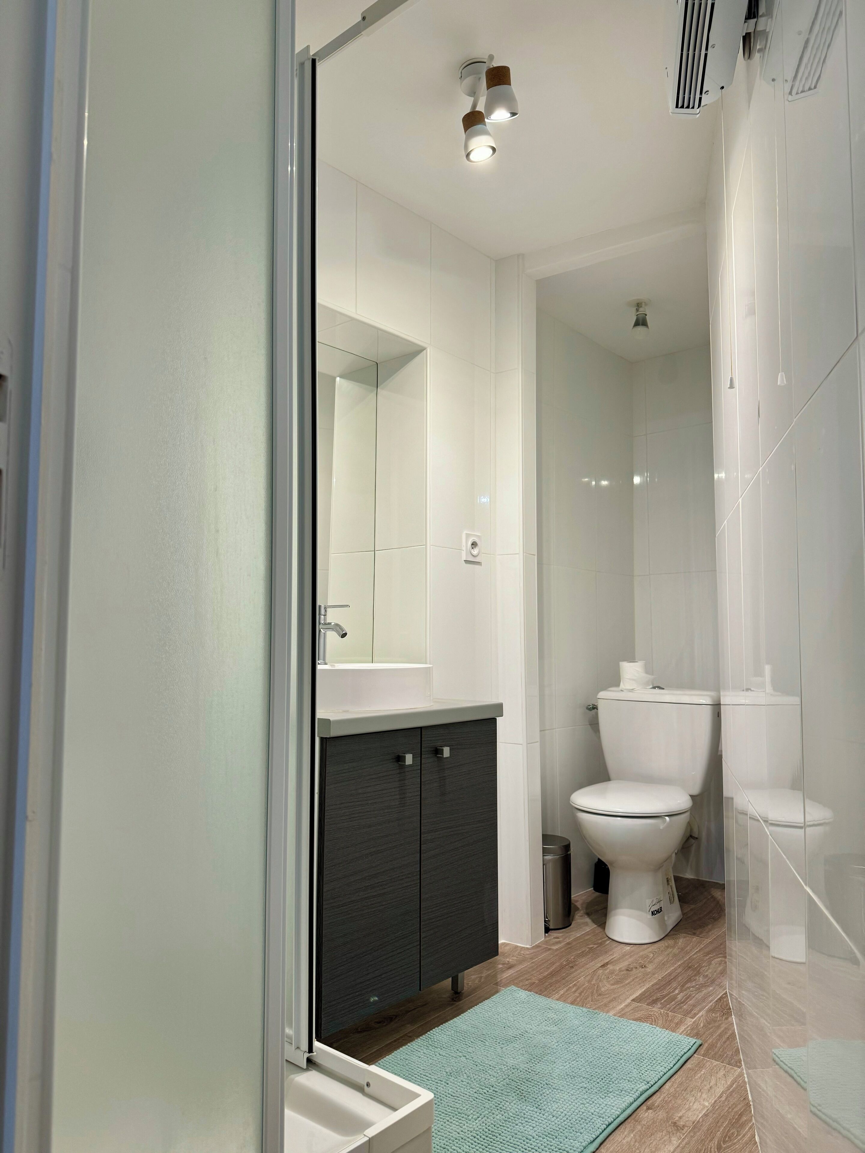 Shower, bidet, towels, soap