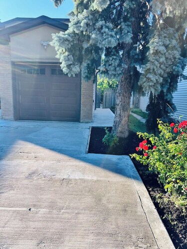 "Cozy Walkout Basement Suite with Private Entrance"

