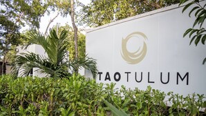 A sign with the word "TAOTULUM" and a logo, surrounded by greenery. - Modern Apt Tulum with 2 BDR Gym & Pool (Tulum)