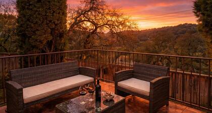 Healdsburg Wine Country Retreat with Fire Pit & Vineyard Views