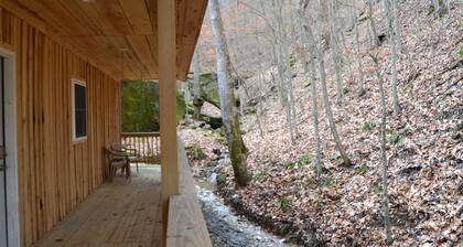 Cozy River front cabin w/Private natural spring. Pet Friendly!