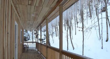 Cozy River front cabin w/Private natural spring. Pet Friendly!