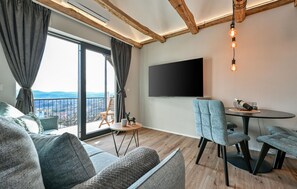 TV connectée, cheminée, chaîne hi-fi