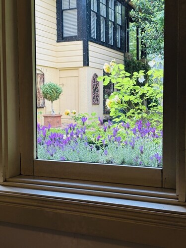 Leura's Magical Manderley - Studio Room