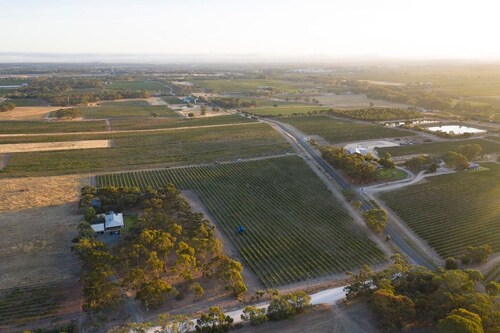 Furche Barossa 5 bed Stay: Vineyards and Fireplace