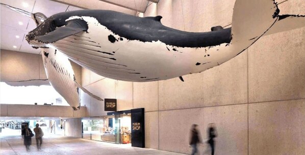 A large whale sculpture suspended in a modern indoor space with a 'Museum Shop' sign visible.