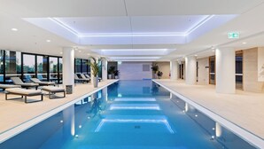 En moderne swimmingpool indendørs med liggestole og krukker med planter.