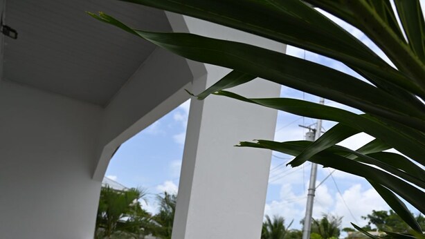 A pool area with a white structure, a pool, and some greenery.