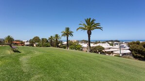 A grassy area with a bench, palm trees, and a view of buildings and the ocean. - Modern Fremantle- Sunset Over the Ocean (Fremantle)