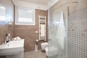 Shower, hair dryer, bidet, towels