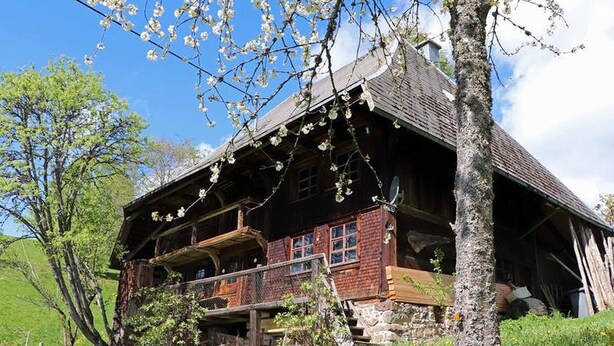 Una casa de madera rústica con balcón, rodeada de follaje y flores.