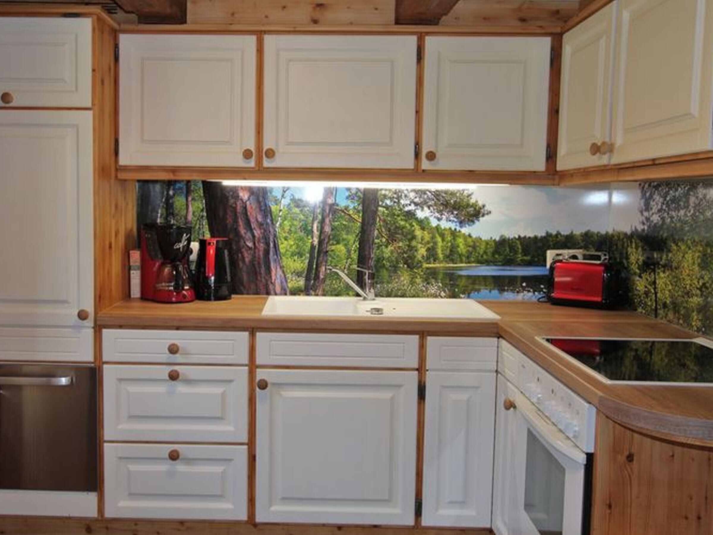 Kühlschrank, Ofen, Herdplatte, Geschirrspüler