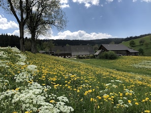 Paisagem rural com um campo de flores amarelas e brancas, uma árvore grande e um edifício tradicional com telhado inclinado.