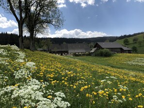 Un paisaje rural con un campo de flores amarillas y blancas, un gran árbol y un edificio tradicional de techo inclinado.