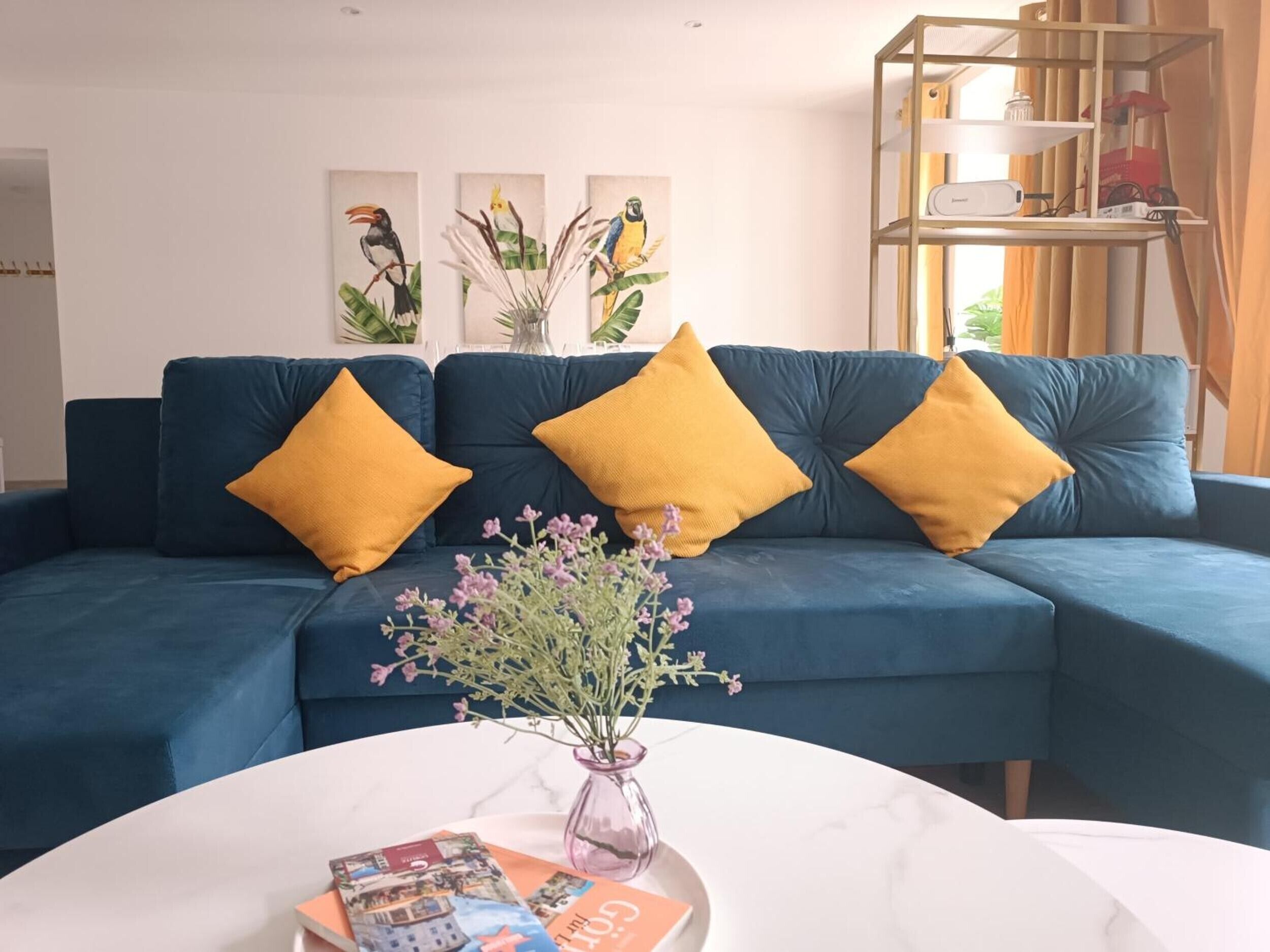 電視、乒乓球設施