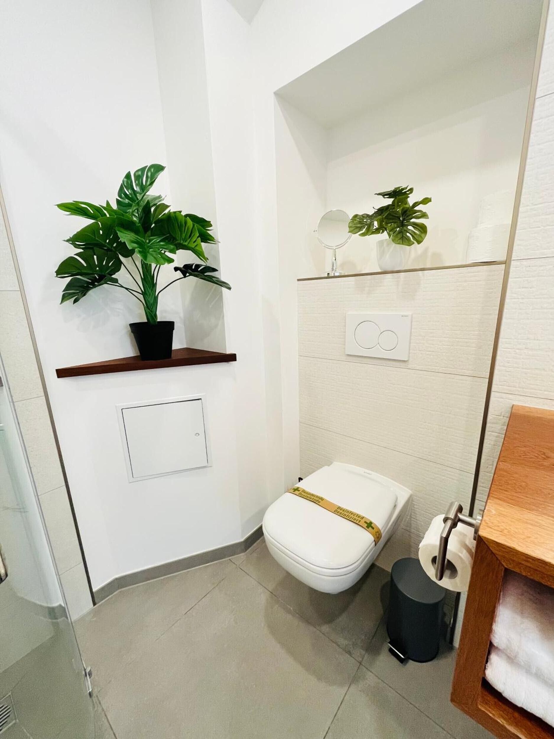 Ducha, secador de pelo, toallas