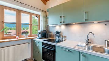 Kühlschrank, Ofen, Herdplatte, Geschirrspüler