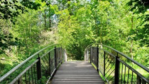Een houten brug met metalen leuningen, omgeven door weelderige groene beplanting.