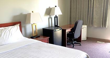 Value Stay Clean Room at Castle Motel