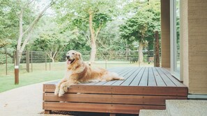 Overnattingsstedets uteområder