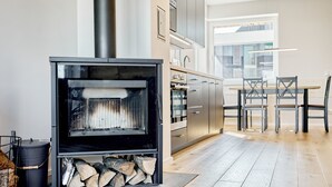 A modern kitchen with a wood-burning stove, built-in oven, and grey cabinetry. - Ore house by Interhome (Loucna pod Klínovcem)