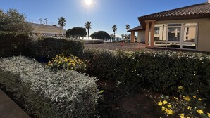 Ein sonniger Tag in einem Hotel mit freiem Blick auf das Meer, umgeben von gepflegten Gärten und Palmen.