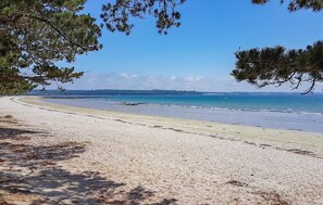 Pêche sur place