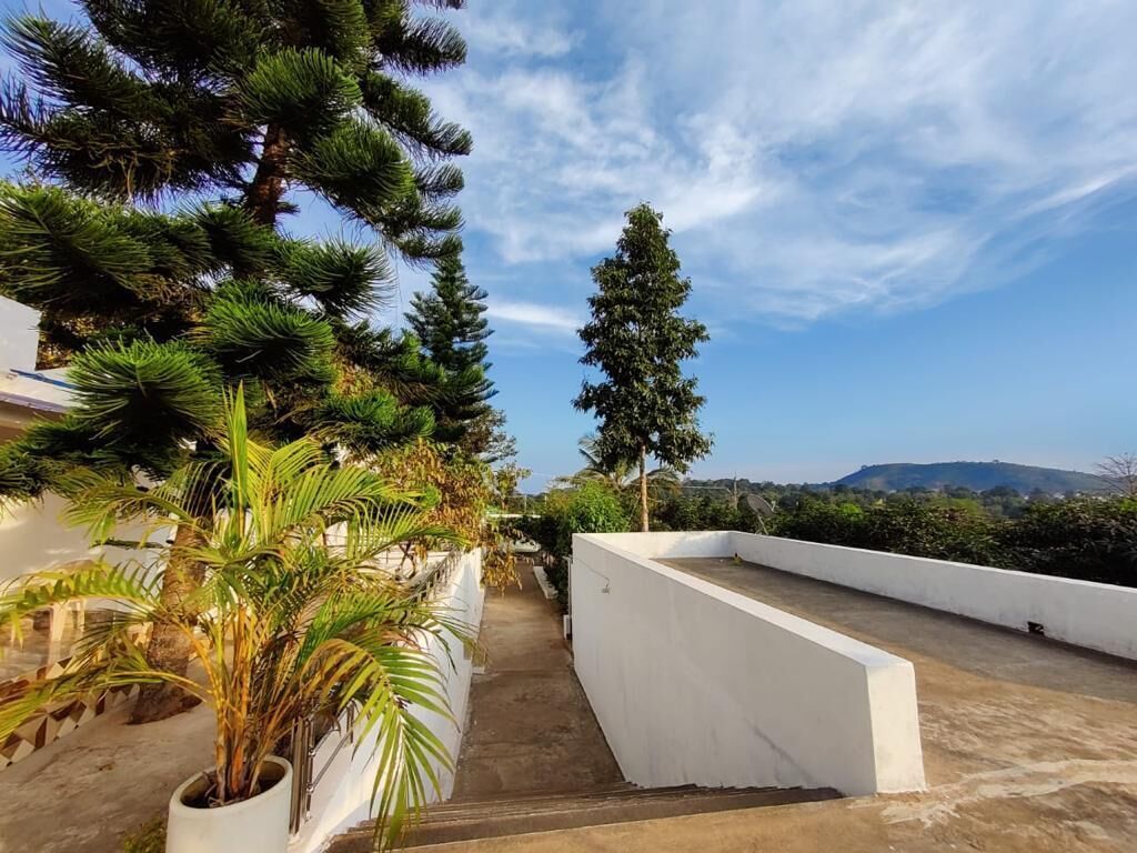 A rooftop terrace with potted plants, a clear sky, and a view of distant hills.