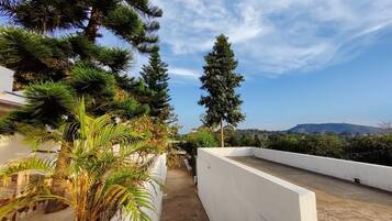 A rooftop terrace with potted plants, a clear sky, and a view of distant hills.